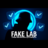 FAKELAB